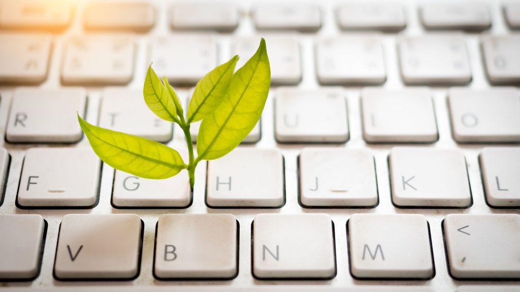 Leaves nature and keyboard.Small green plant growing from white