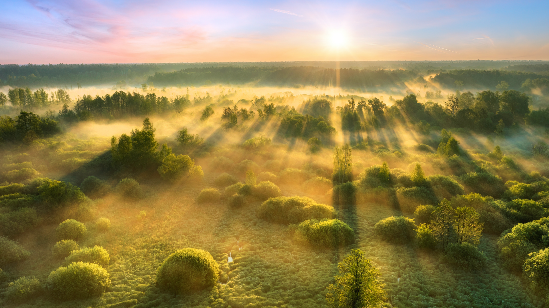 <br>Technology and the Environment: A year of fire surveillance
