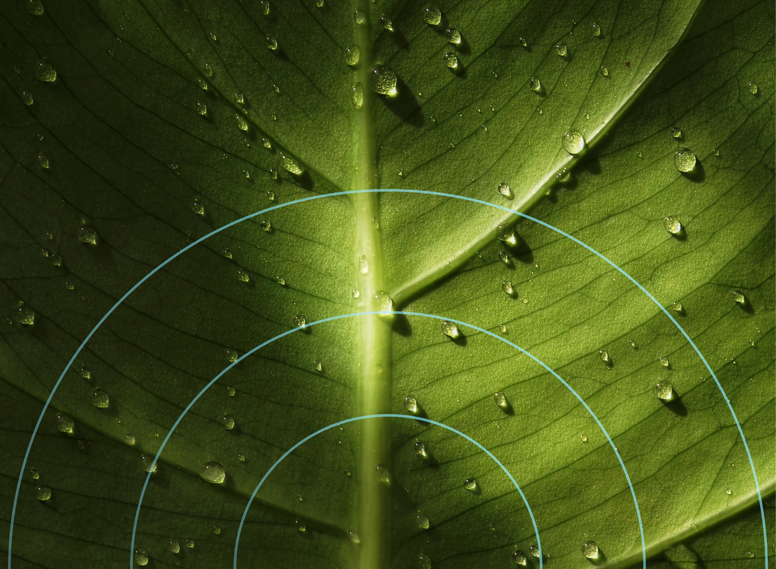 Green leaf with water droplets and overlaid concentric circles, evoking a propagation signal.